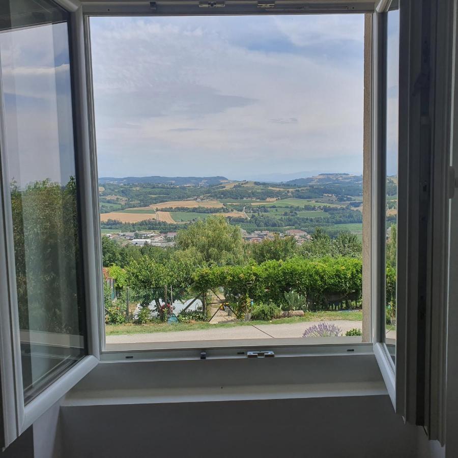 Figuets 3 Daire Chateauneuf-de-Galaure Dış mekan fotoğraf