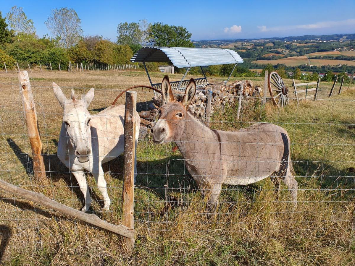 Figuets 3 Daire Chateauneuf-de-Galaure Dış mekan fotoğraf