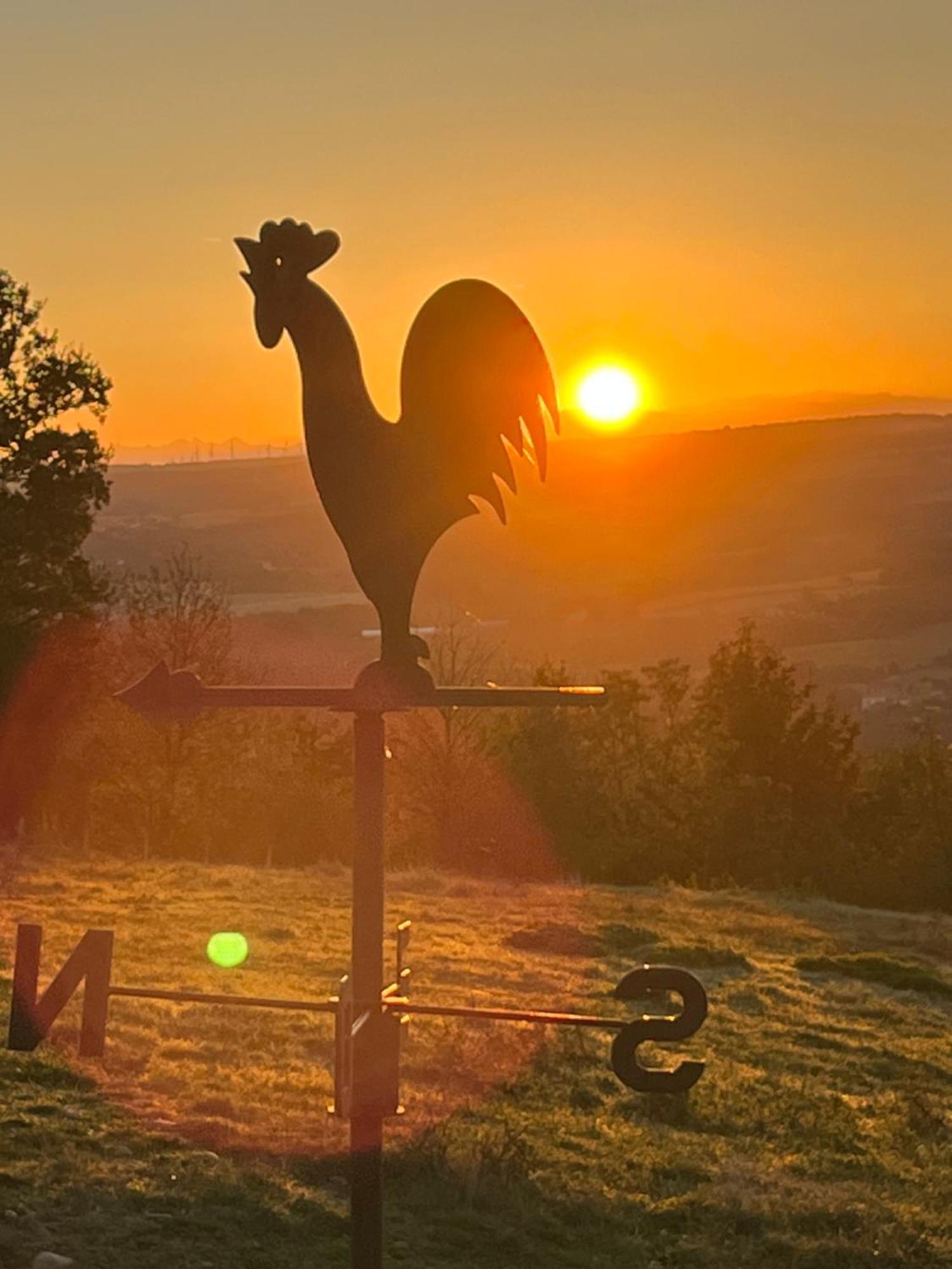Figuets 3 Daire Chateauneuf-de-Galaure Dış mekan fotoğraf